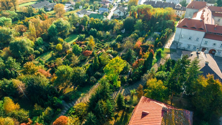 DJI_0468